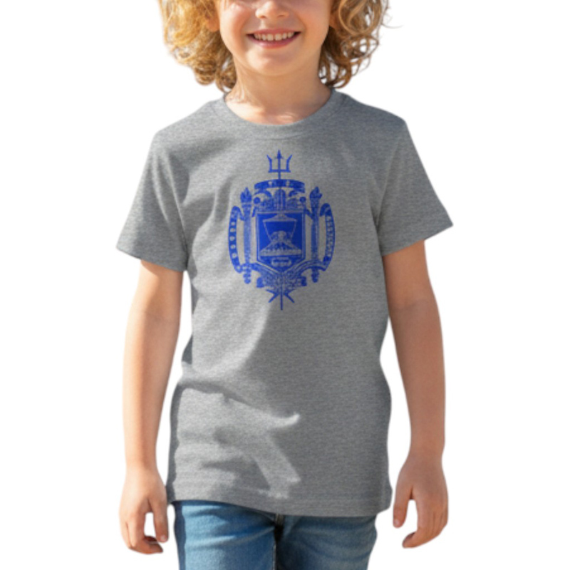 NAVAL A TS グレー×青 6oz YOUTH-L(160)